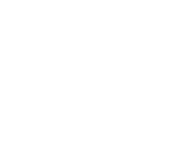 Birgit Berghofer – Equine Images