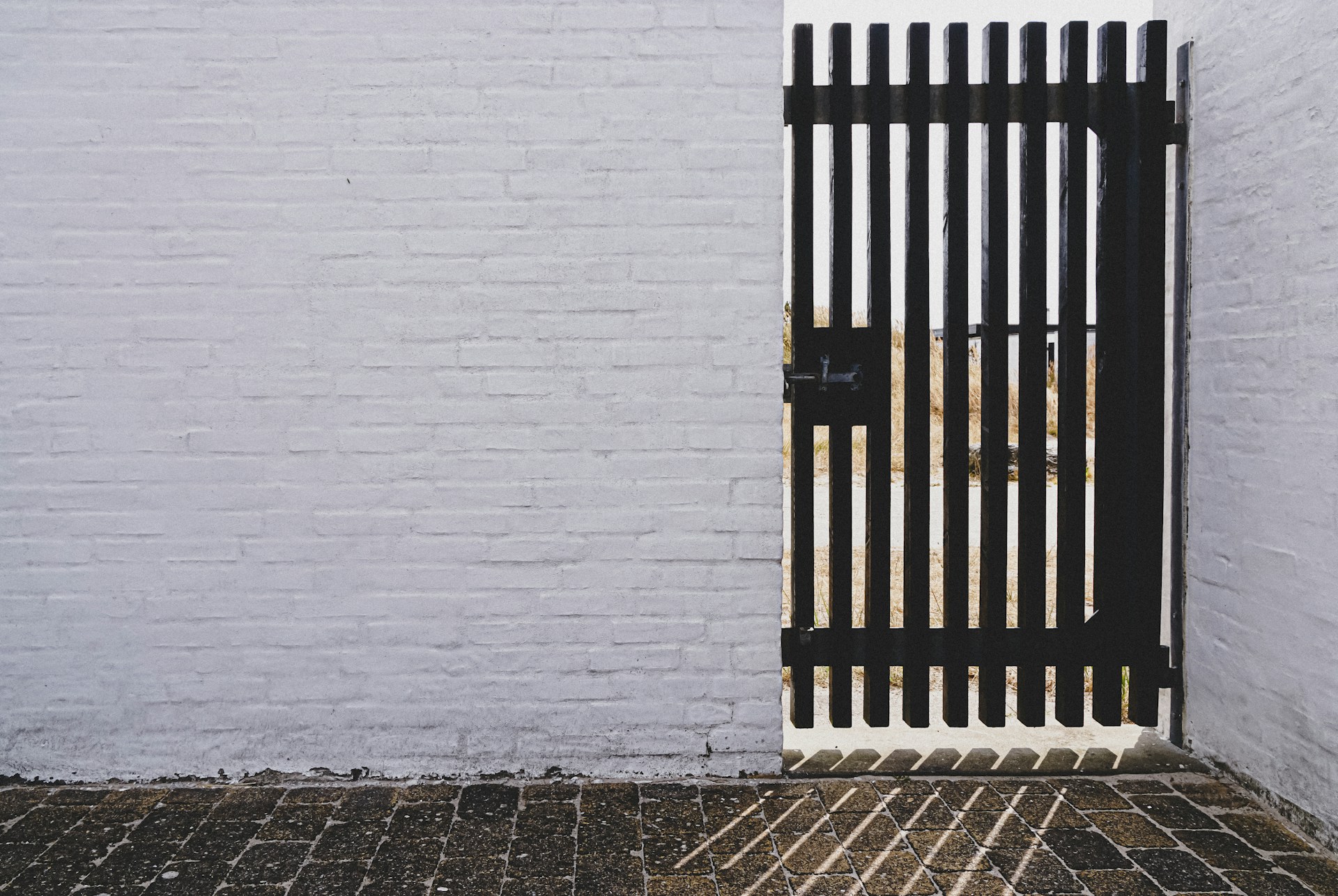 Gatekeeping in Photography: When Passion Meets Pushback - Birgit ...